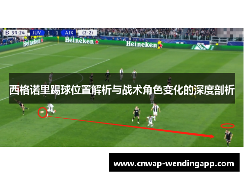 西格诺里踢球位置解析与战术角色变化的深度剖析