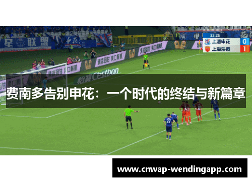 费南多告别申花：一个时代的终结与新篇章