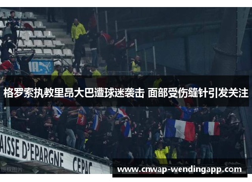 格罗索执教里昂大巴遭球迷袭击 面部受伤缝针引发关注